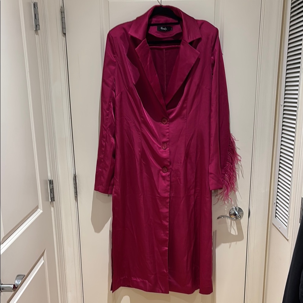 Chic Pink Button-Up Coat with Feather Detail - Picture 2 of 11